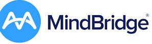 MindBridge-Financial audit and risk identification