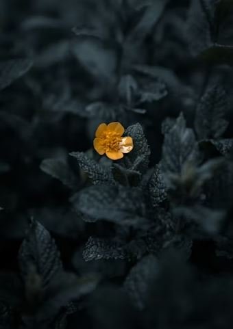 Standout in a hidden pipeline: Scaling growth with CRM data